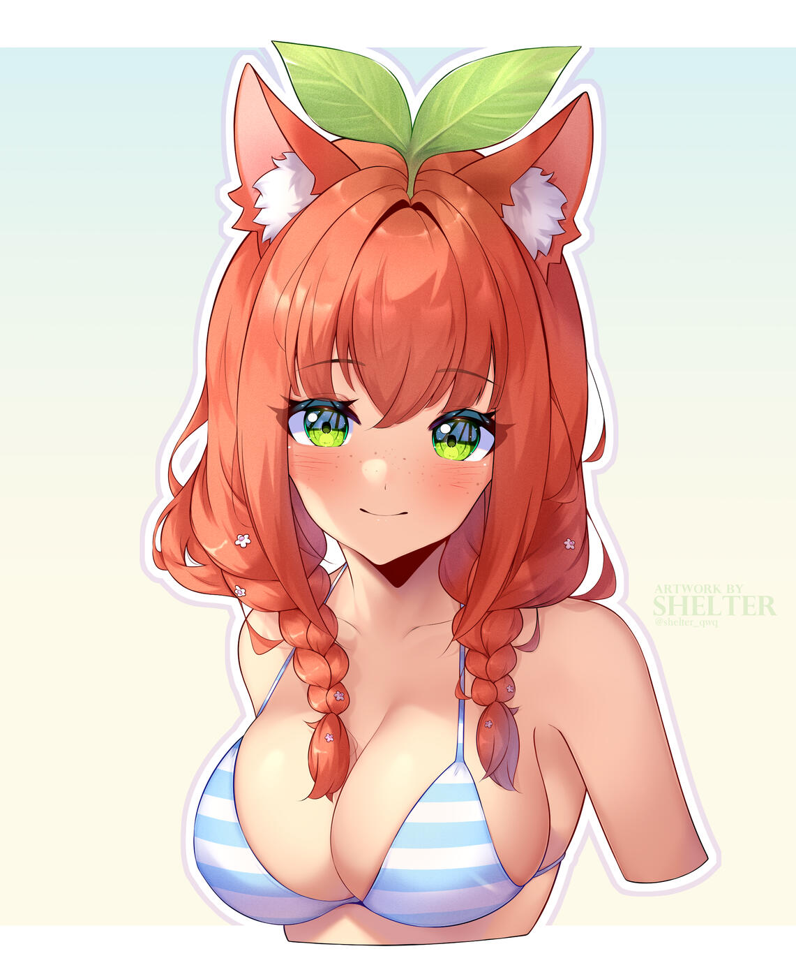 Shelter_qwq